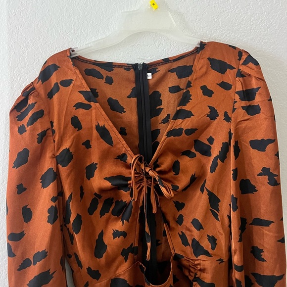 Leopard Dress - Picture 3 of 5